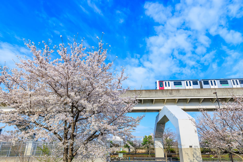 日暮里舎人ライナーが舎人付近を走行中の写真